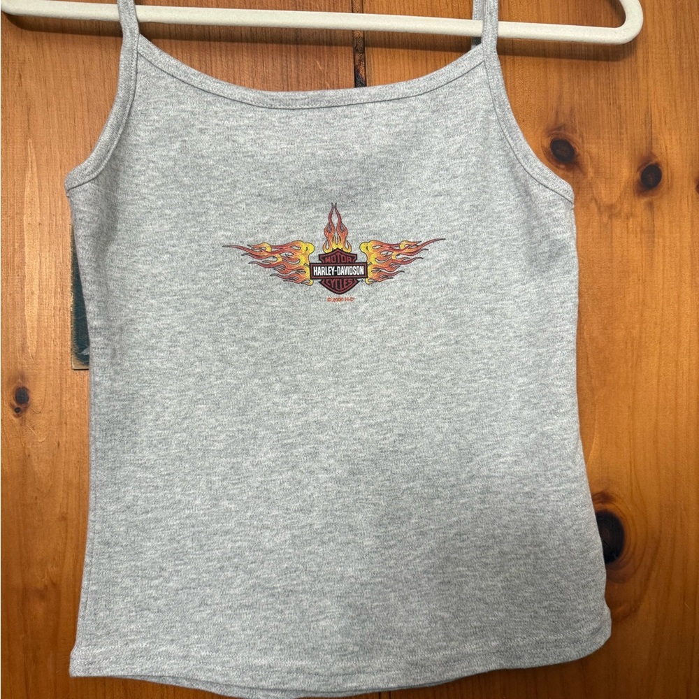 Harley-Davidson Gray Flame Tank